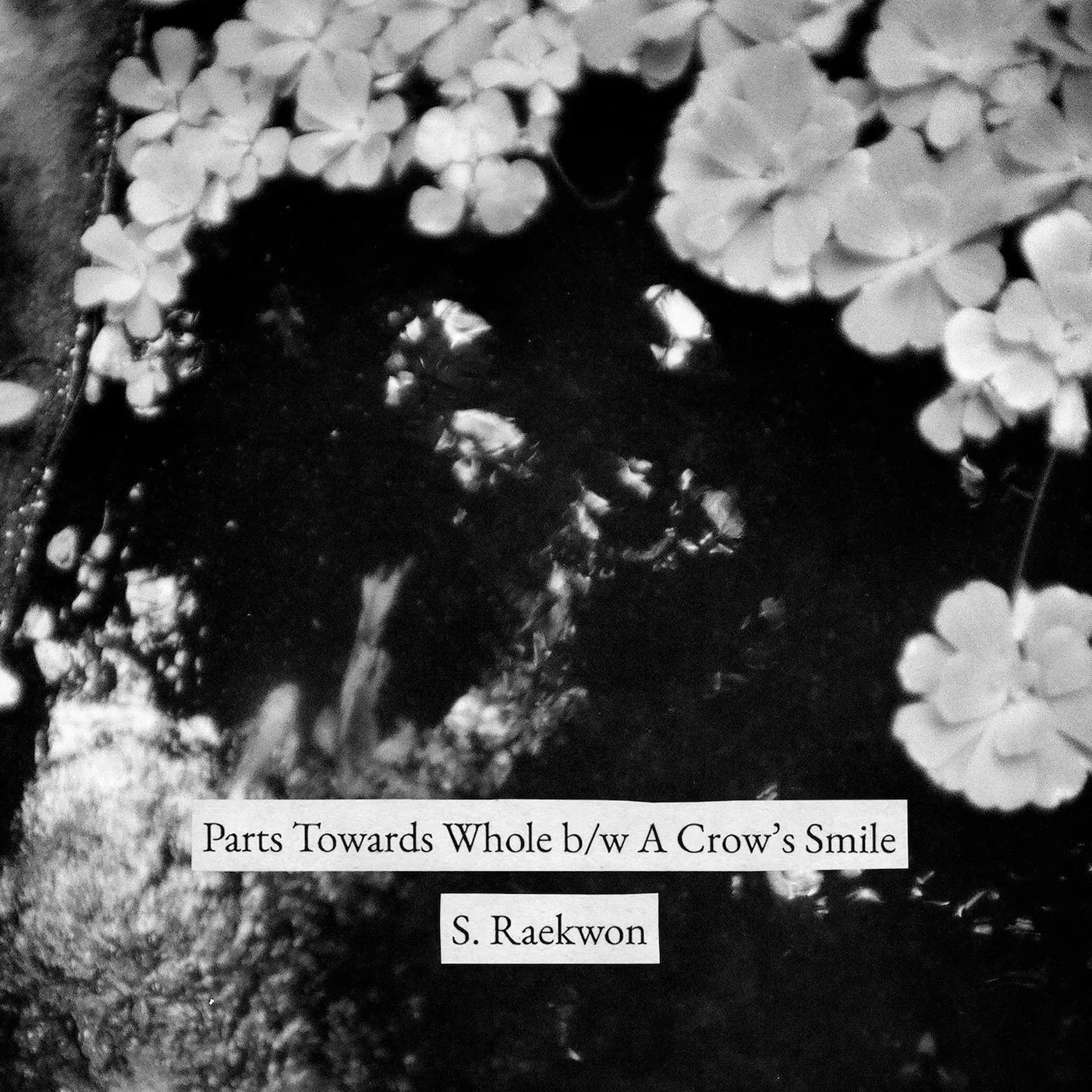 S. Raekwon / Parts Towards Whole b/w A Crow's Smile - 7" Vinyl