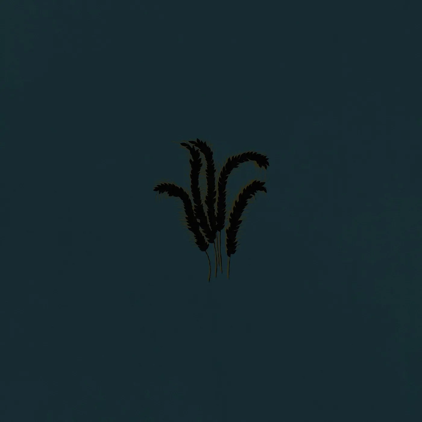 Whimm / A Stare Ajar - LP Vinyl