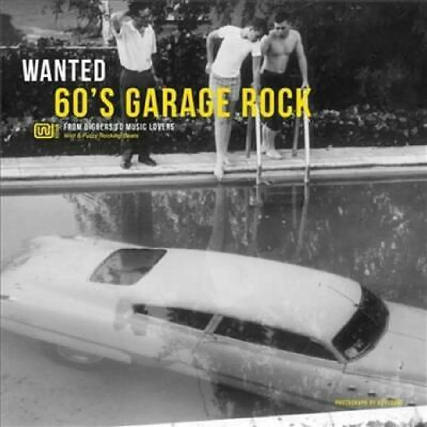 Various Artists / Wanted: 60's Garage Rock - LP (Vinyl)