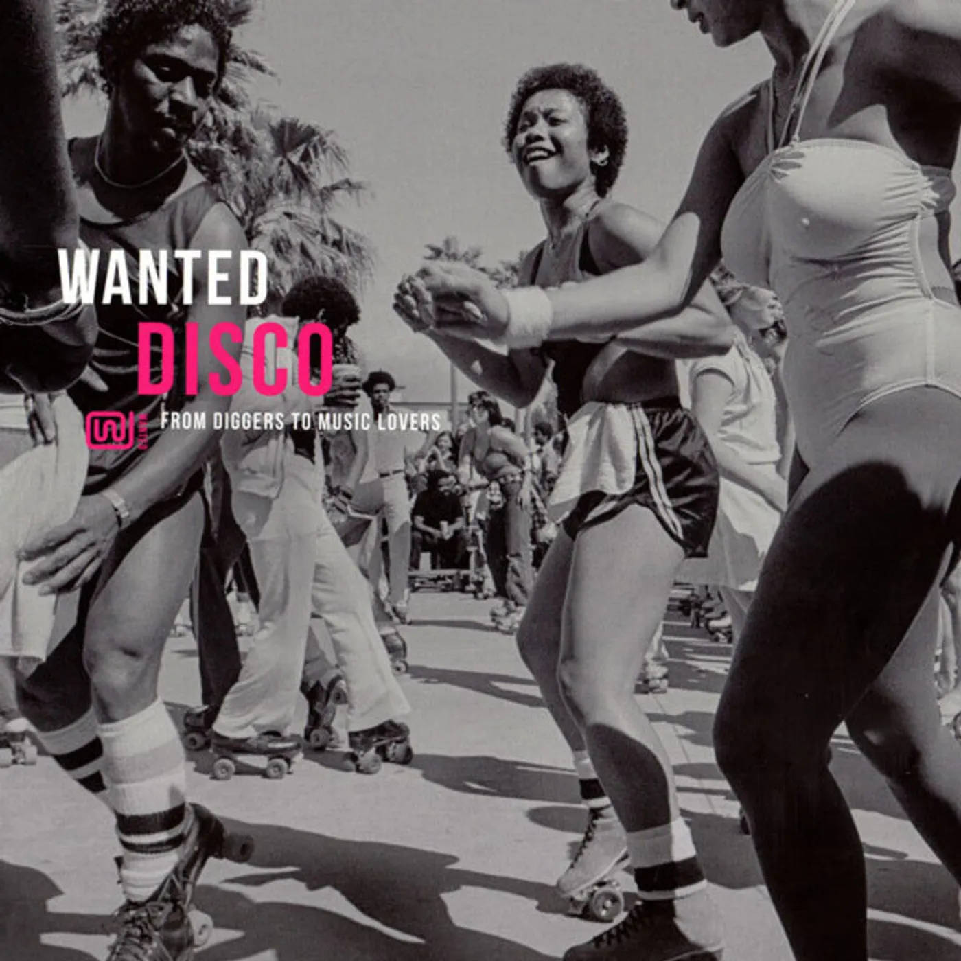 Various Artists / Wanted: Disco - LP (Vinyl)