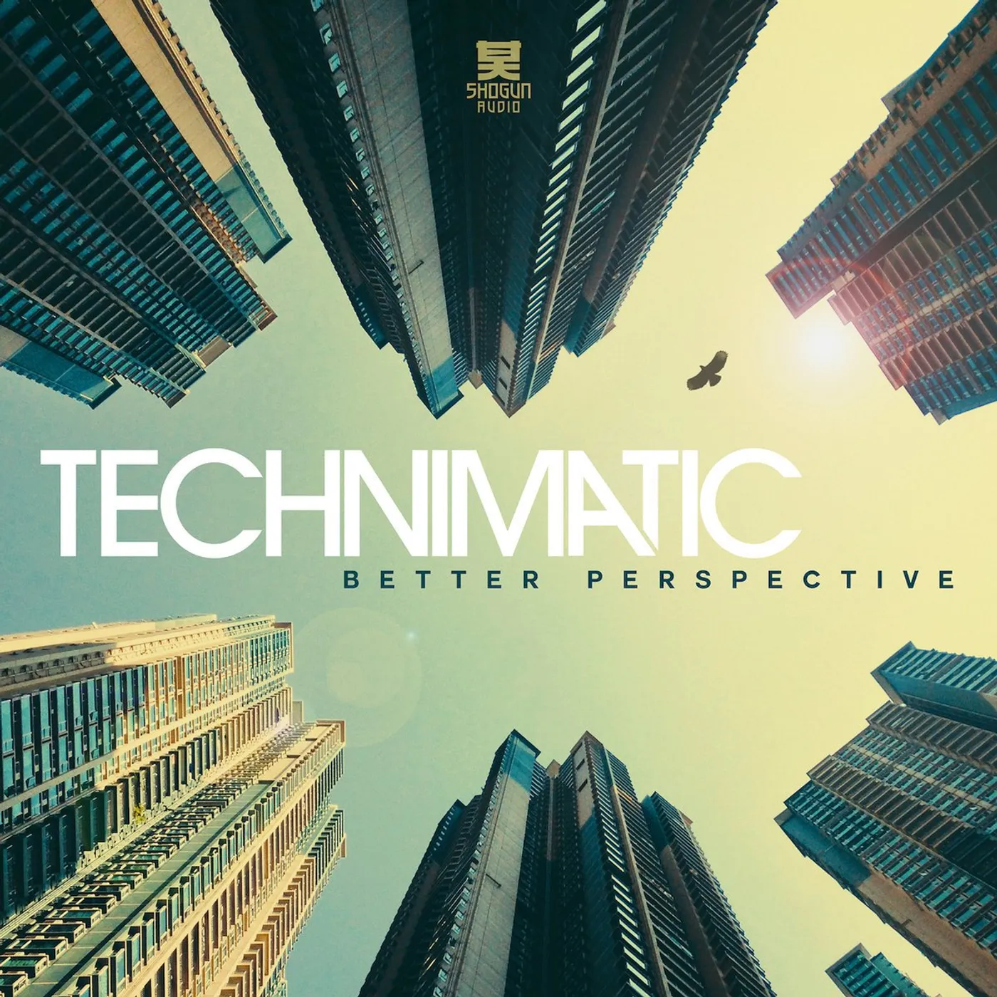 Technimatic - Better Perspective LP (Vinyl)