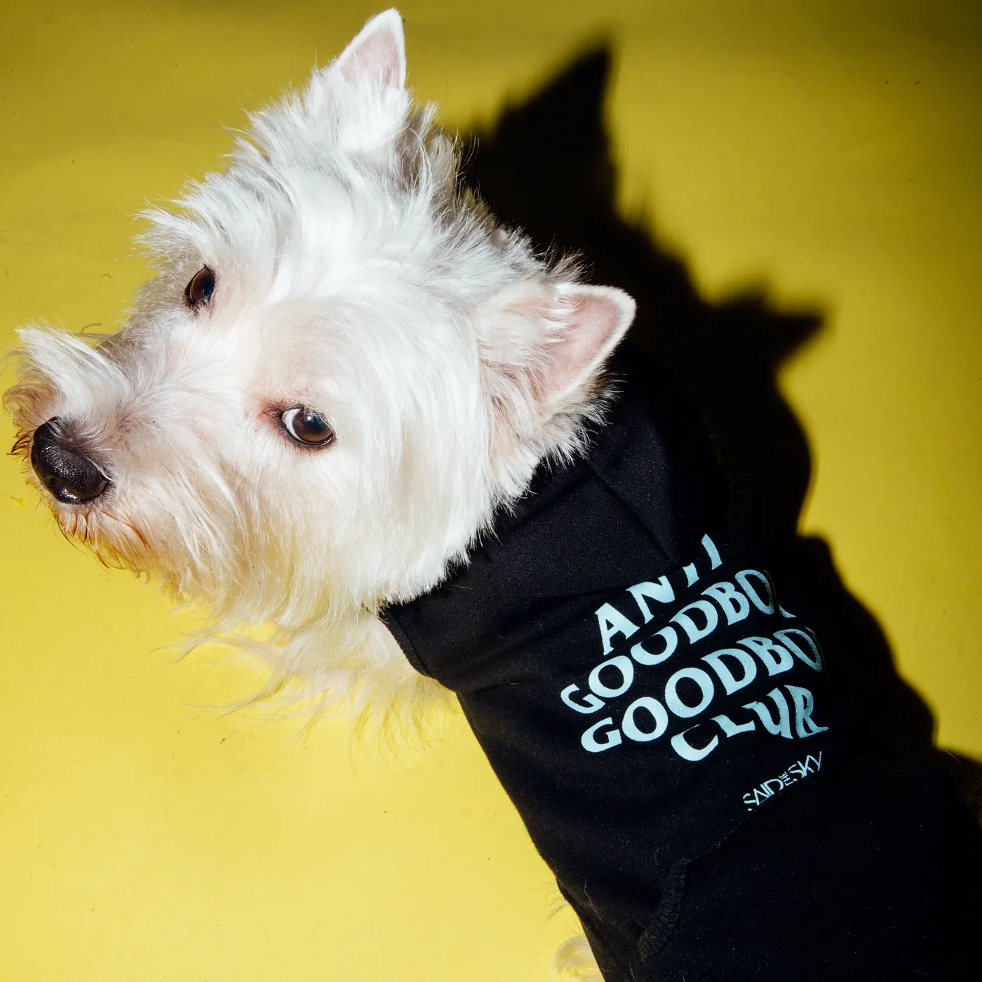 Said The Sky Goodboi Dog Hoodie