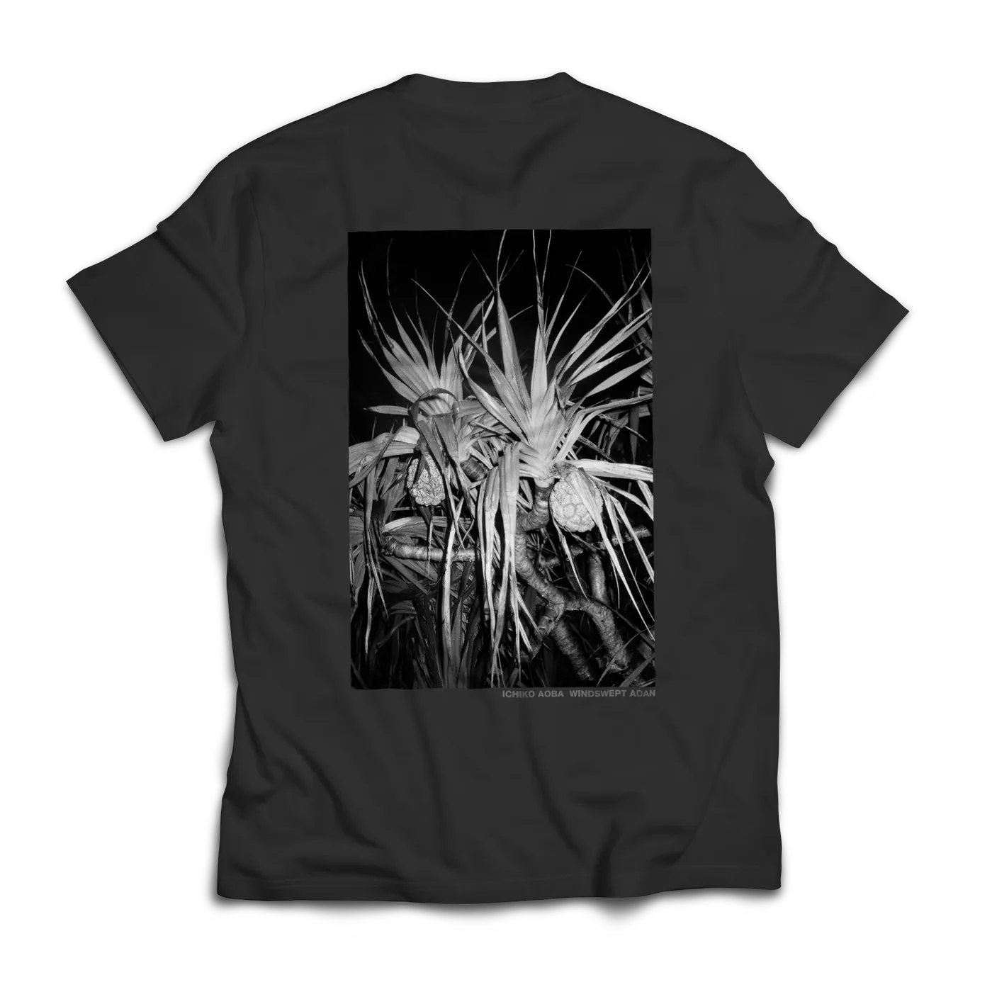 Ichiko Aoba Adan T-shirt | Black