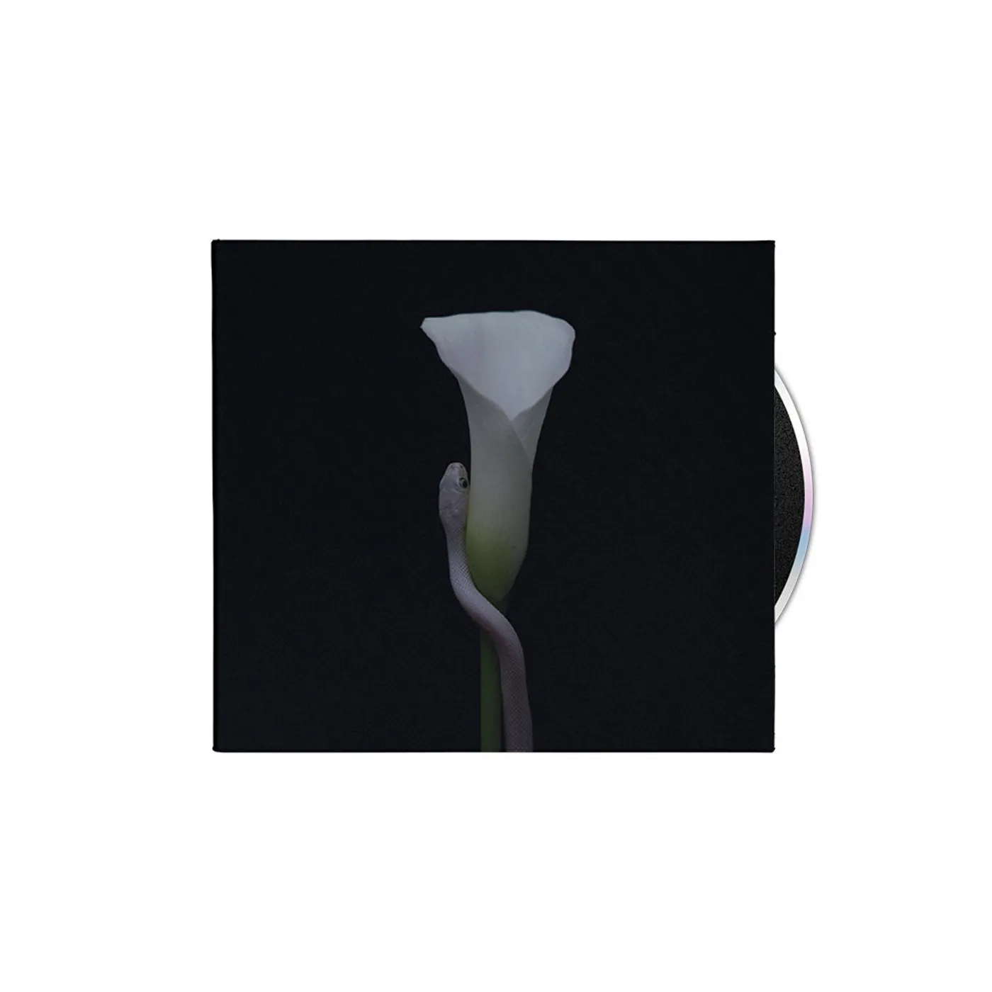 Animals As Leaders - "Parrhesia" CD Digipak