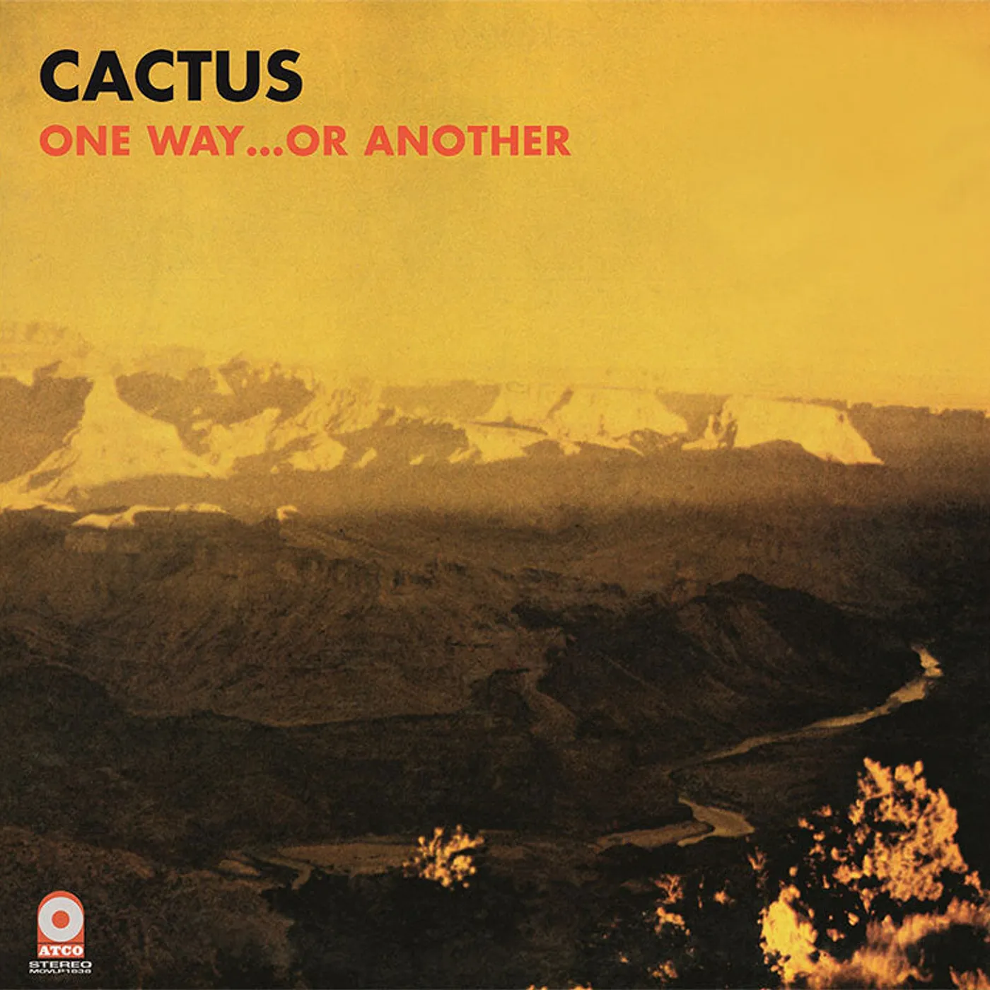 Cactus Restrictions Vinyl Record
