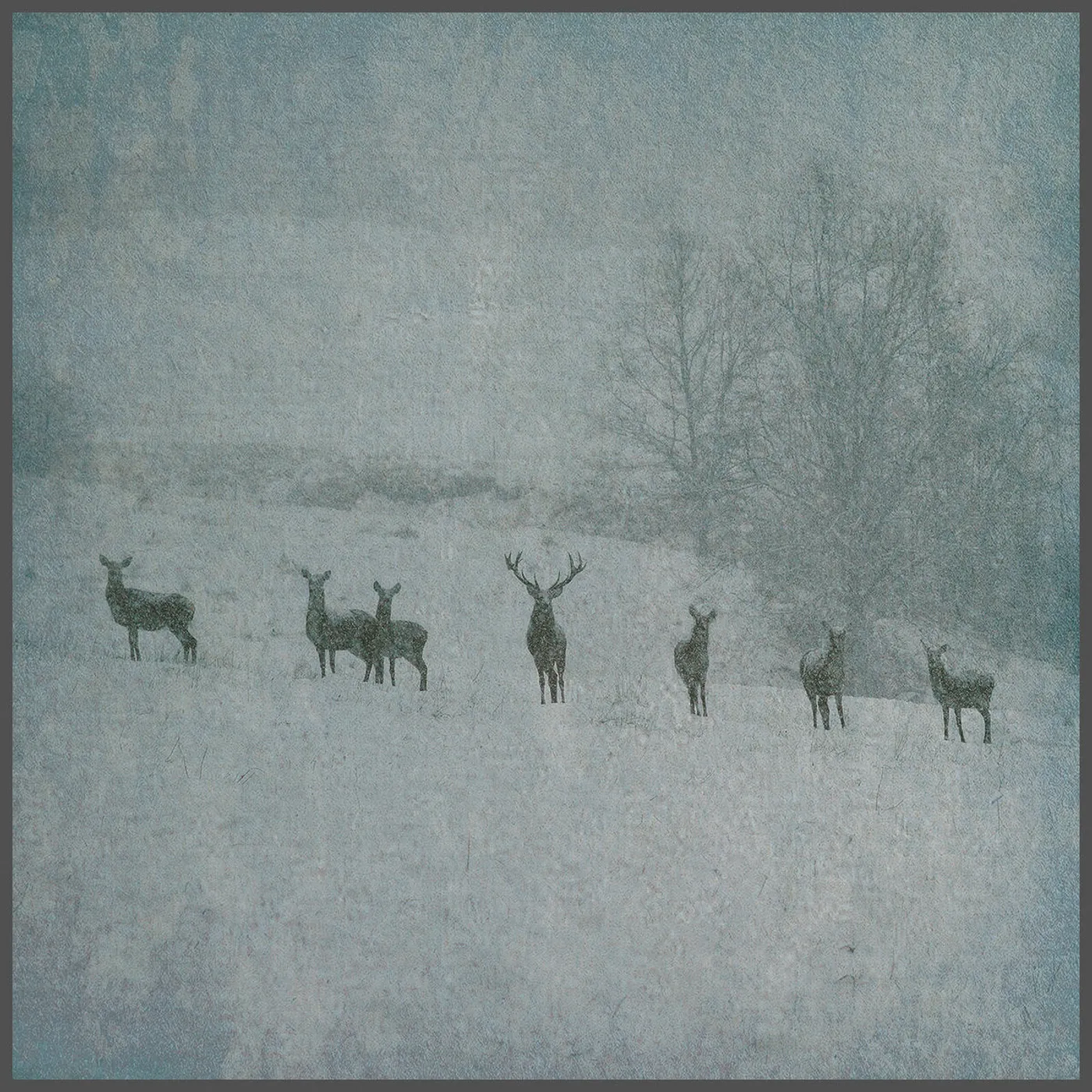 Rauhnacht LP - Winterstille (Vinyl)