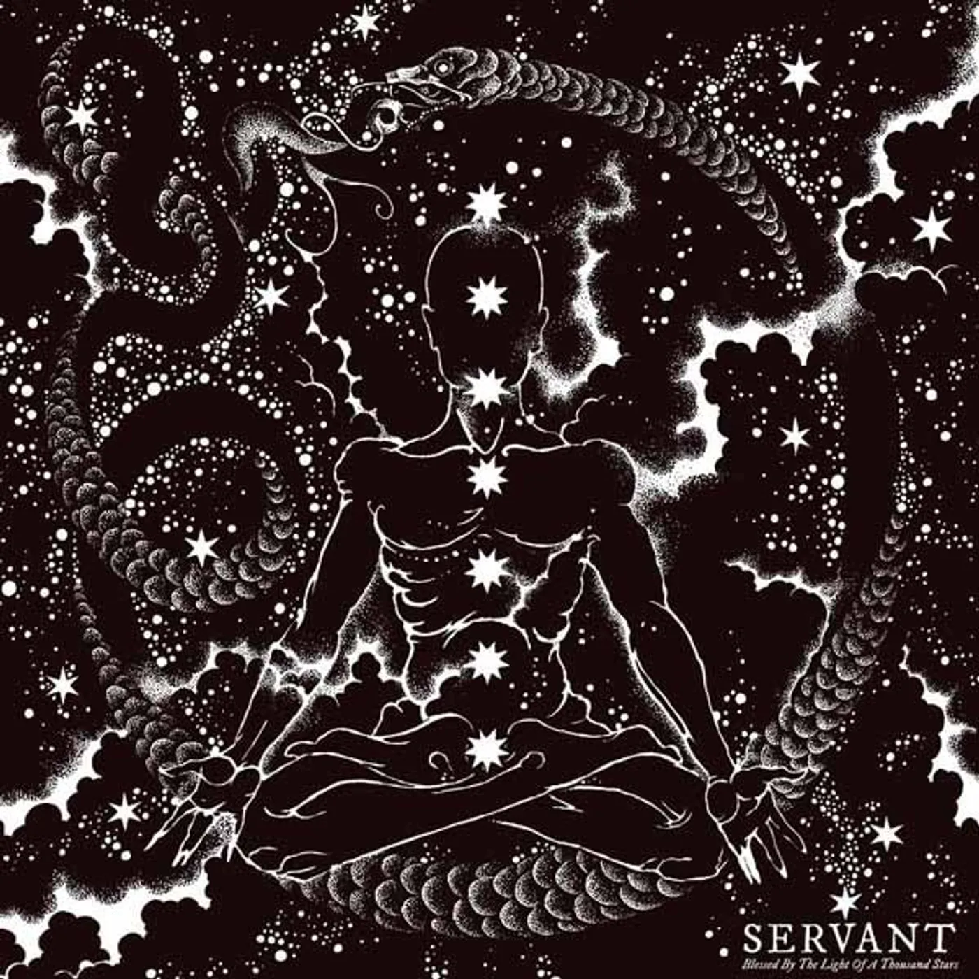 Servant LP - Blessed By The Light Of A Thousand Stars (Vinyl)