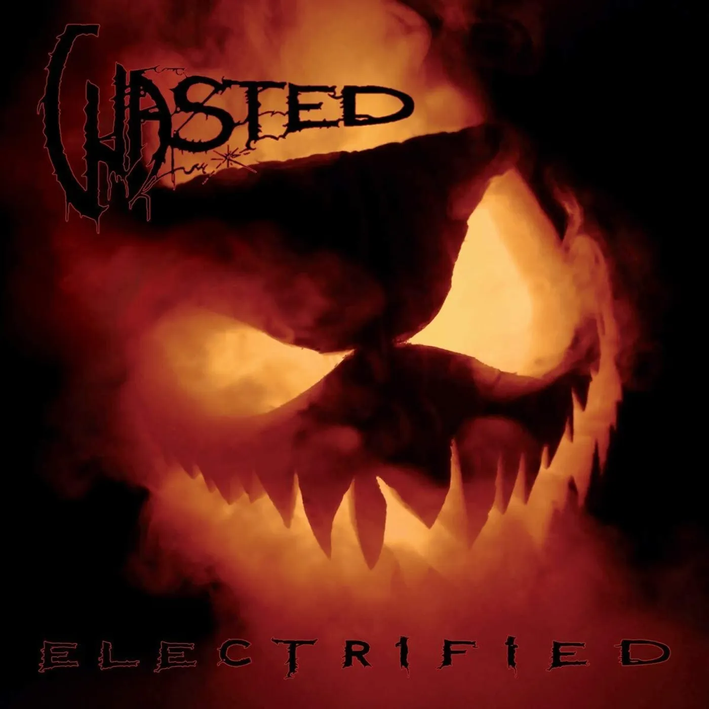 Wasted LP - Electrified (Vinyl)