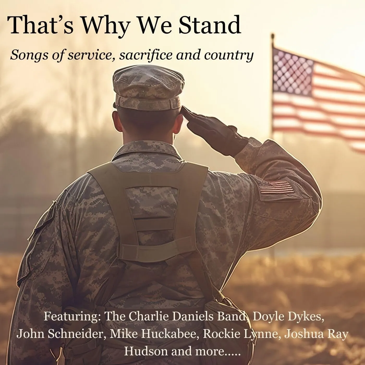Various Artists LP - That'S Why We Stand (Vinyl)