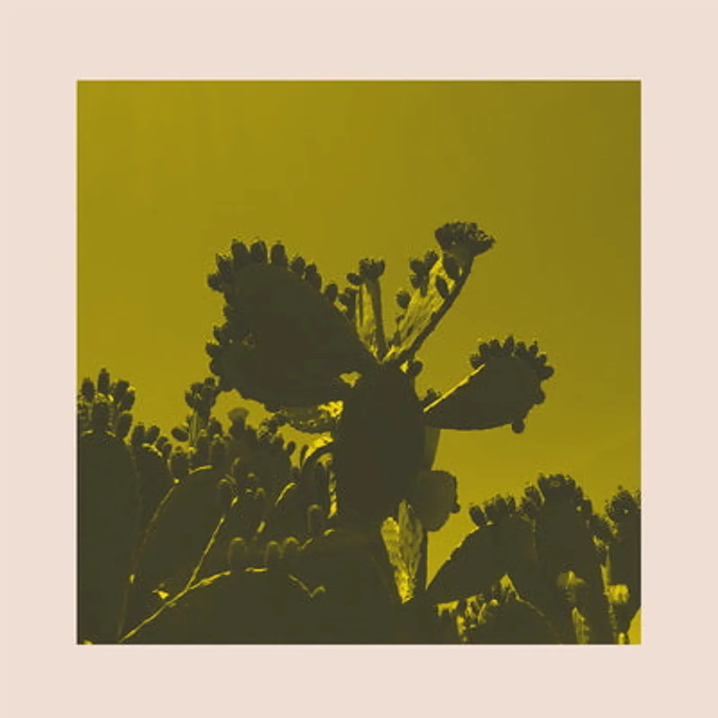 Bright & Findlay LP - Slow Dance: (Vinyl)