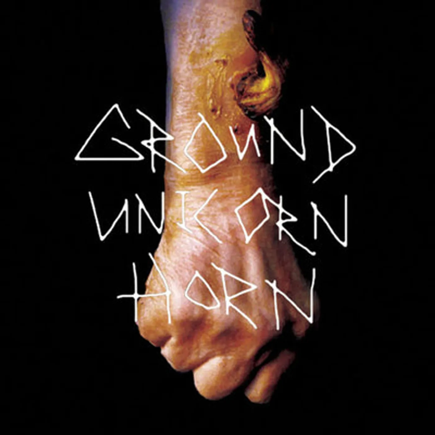 Ground Unicorn Horn LP - Damn I Wish I Was Fat (Vinyl)