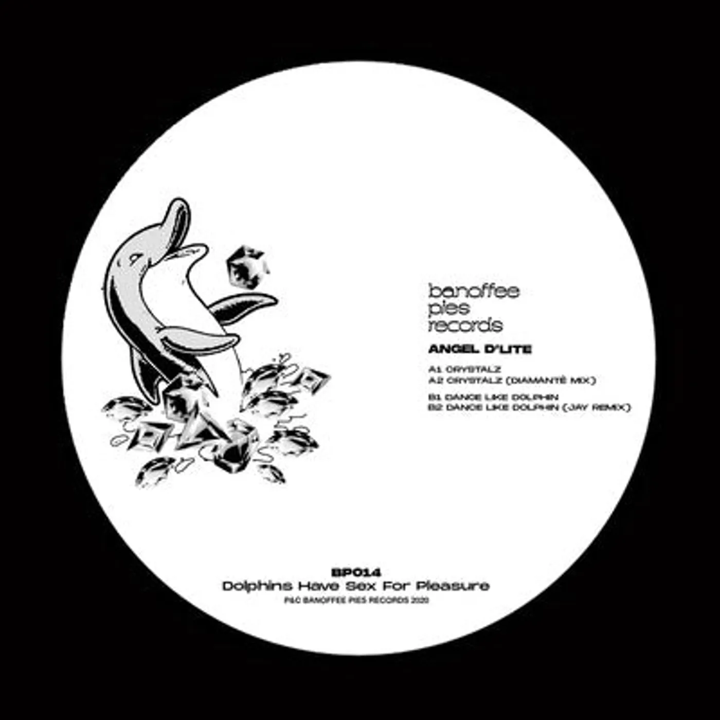 ANGEL D'LITE LP - Dolphins Have Sex for Pleasure: (Vinyl)