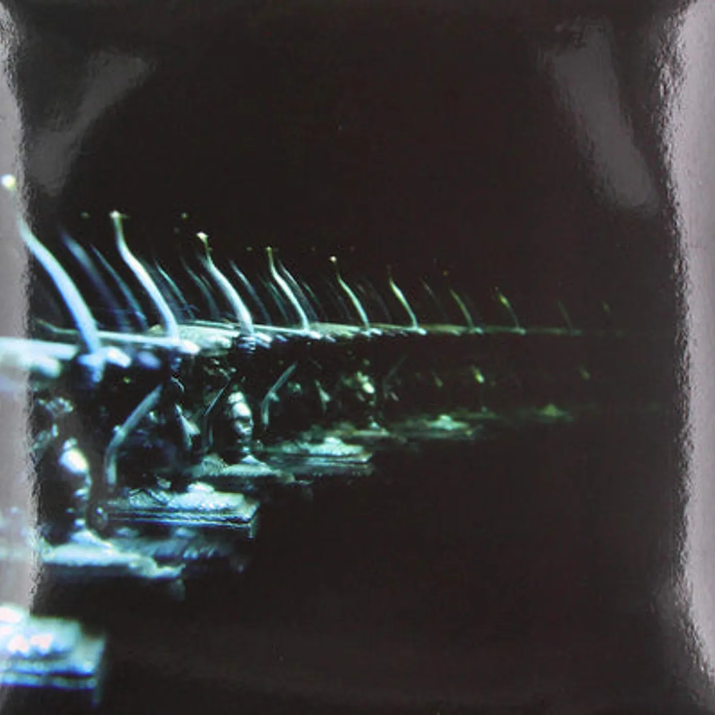 Ose LP - Ellipsis: (Vinyl)