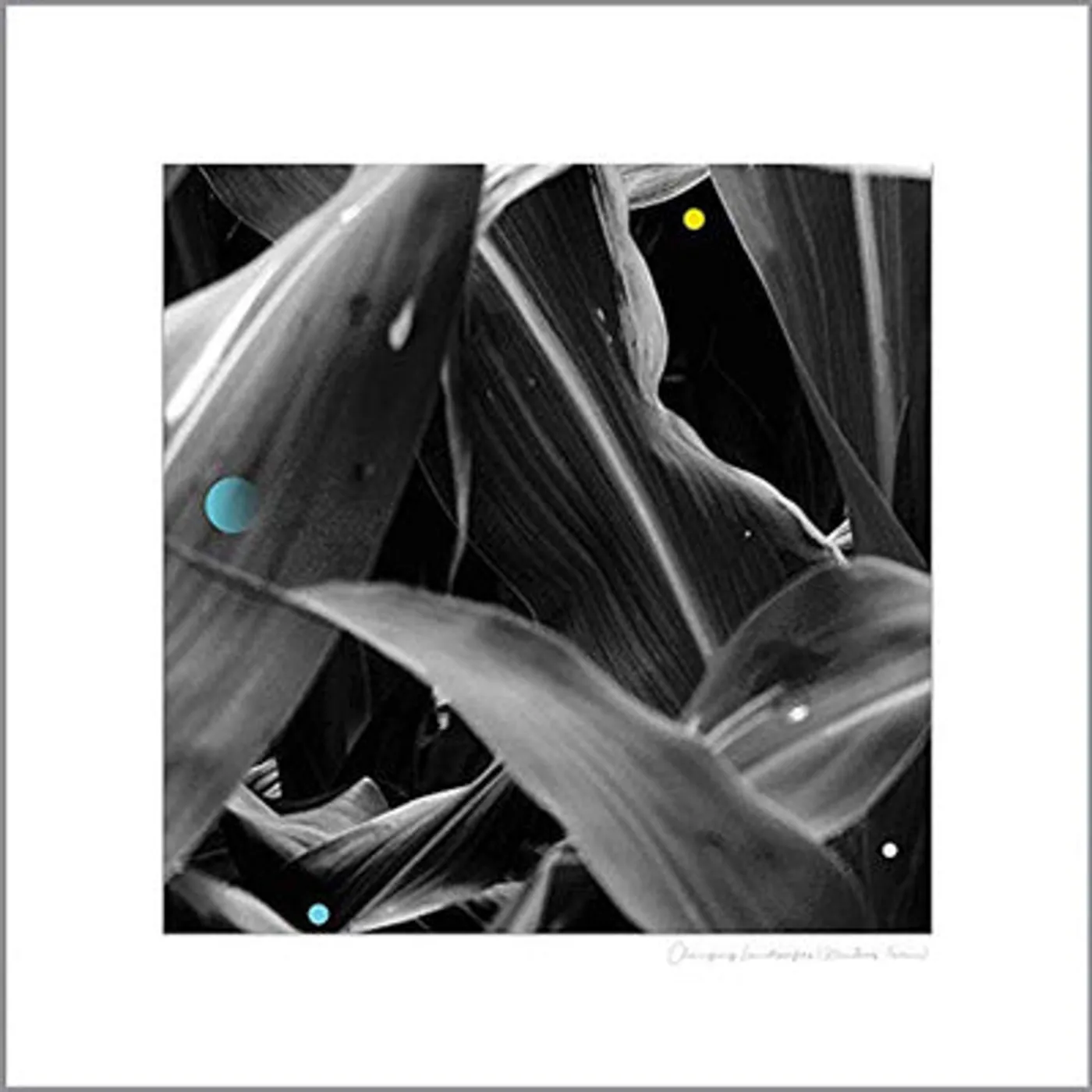 Arthur King LP - Changing Landscapes (Wauters Farm): (Vinyl)