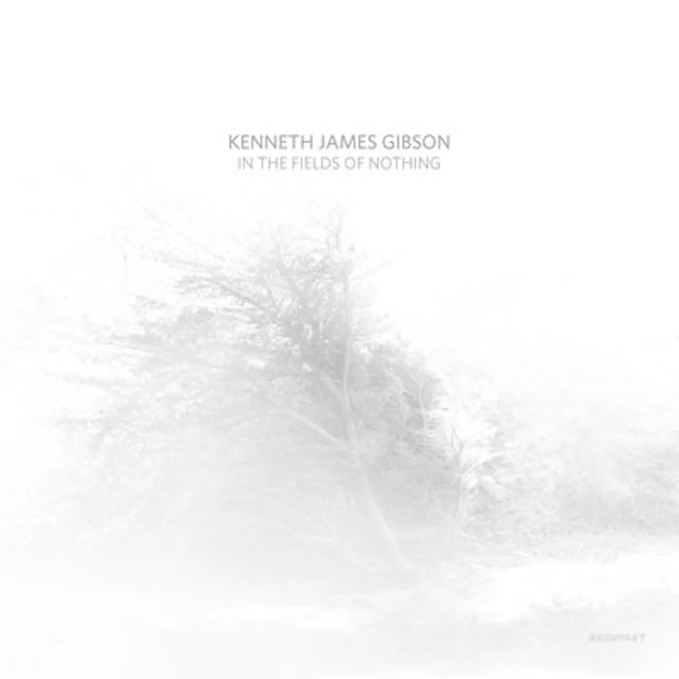 Kenneth James Gibson LP - In the Fields of Nothing (Vinyl)