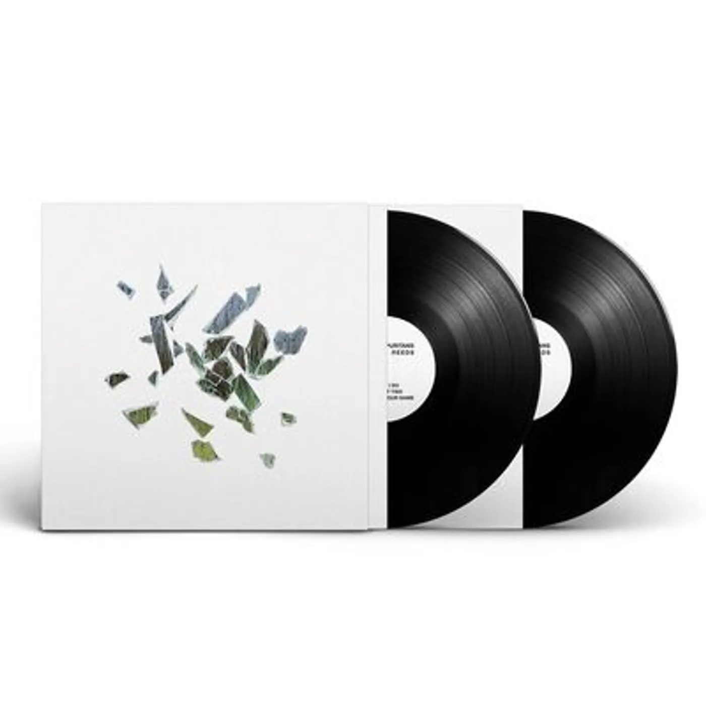 These New Puritans LP - Field of Reeds (Vinyl)