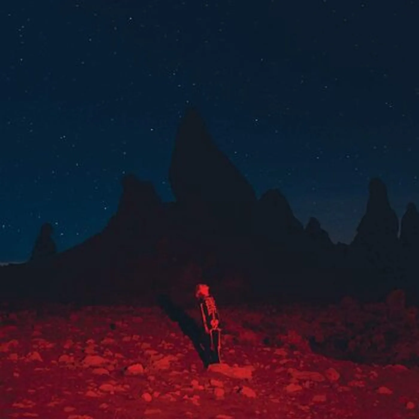 Phoebe Bridgers LP - Punisher (Vinyl)