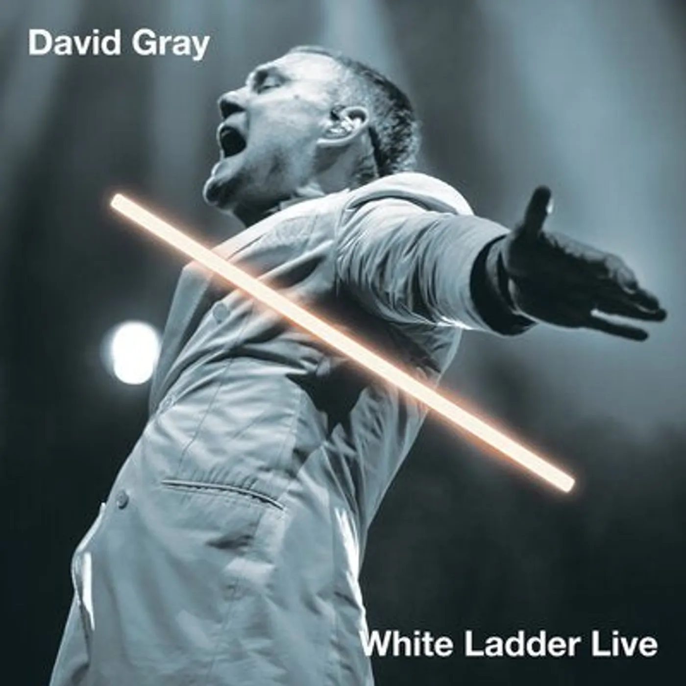 David Gray LP - White Ladder Live (Vinyl)