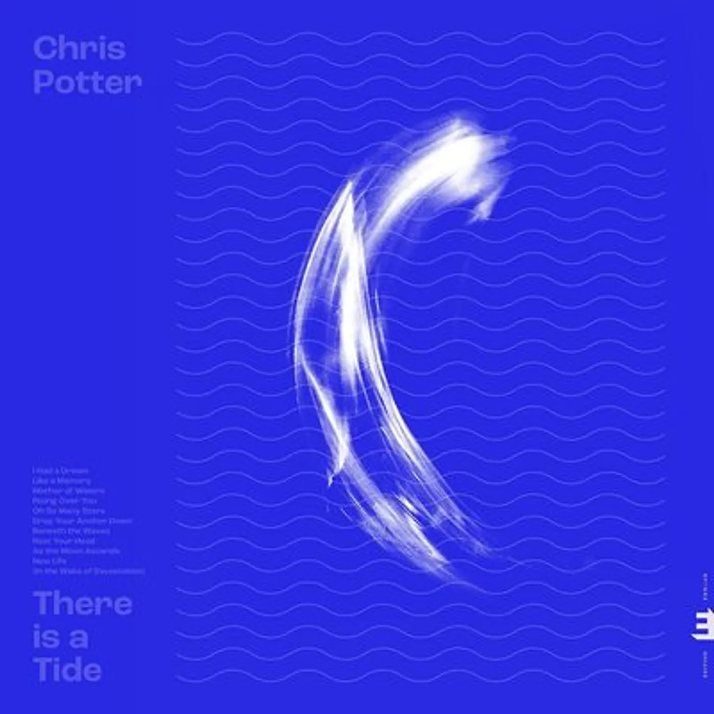 Chris Potter LP - There Is a Tide: (Vinyl)