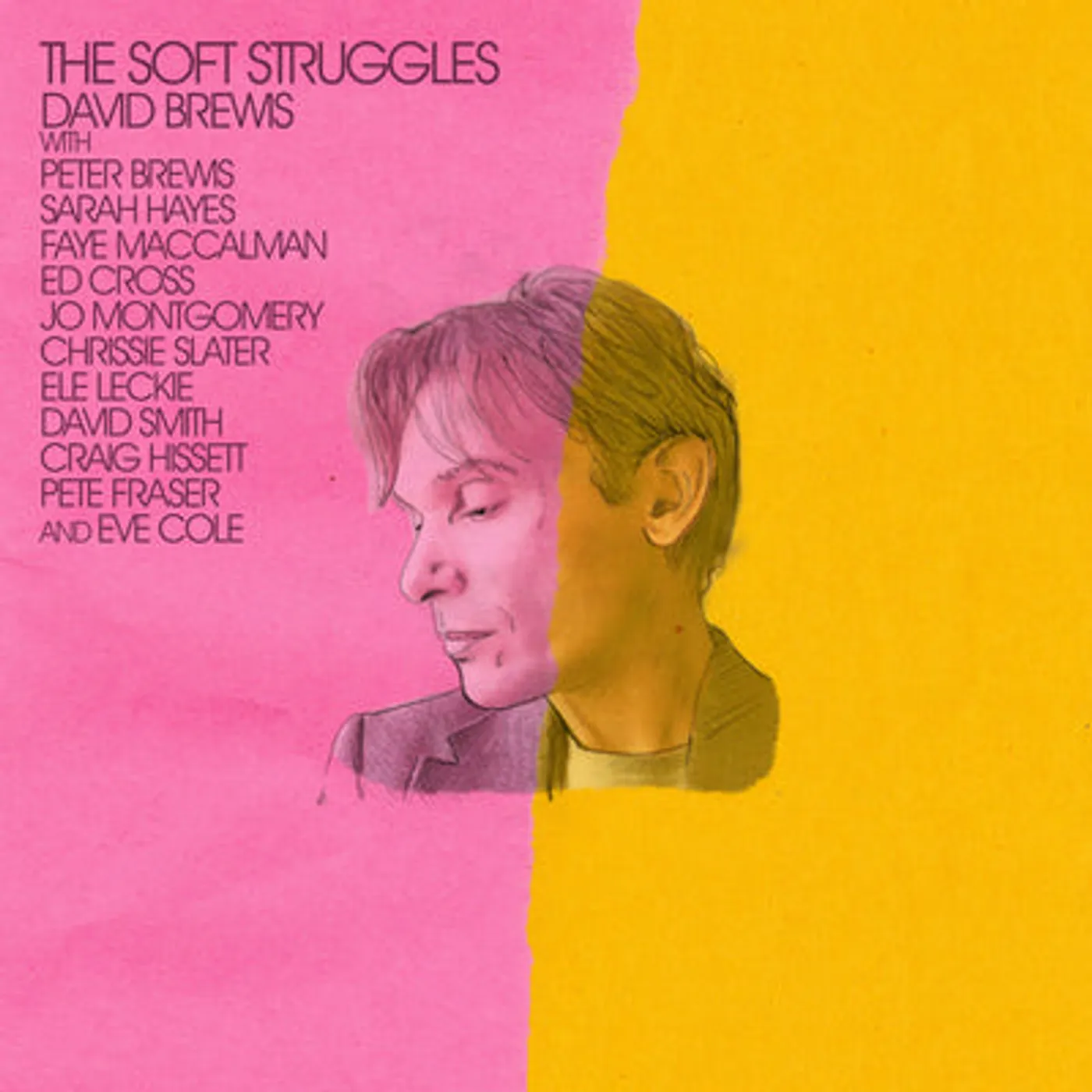 David Brewis LP - Soft Struggles (Vinyl)