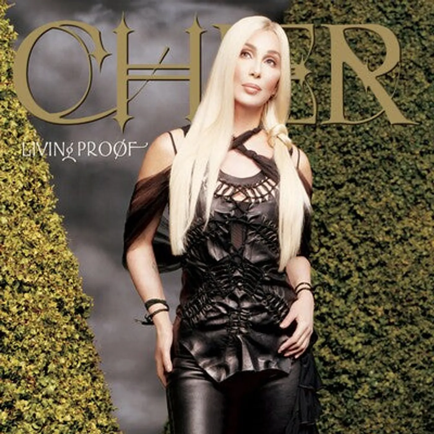 Cher LP - Living Proof (Vinyl)