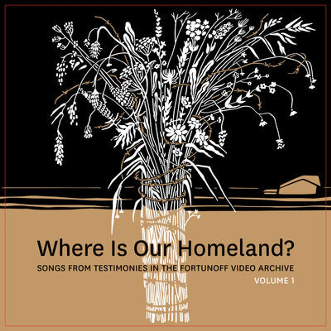 Zisl Slepovitch LP - Where Is Our Homeland?: Songs from Testimonies in the Fortunoff Video Archive- Volume 1 (Vinyl)