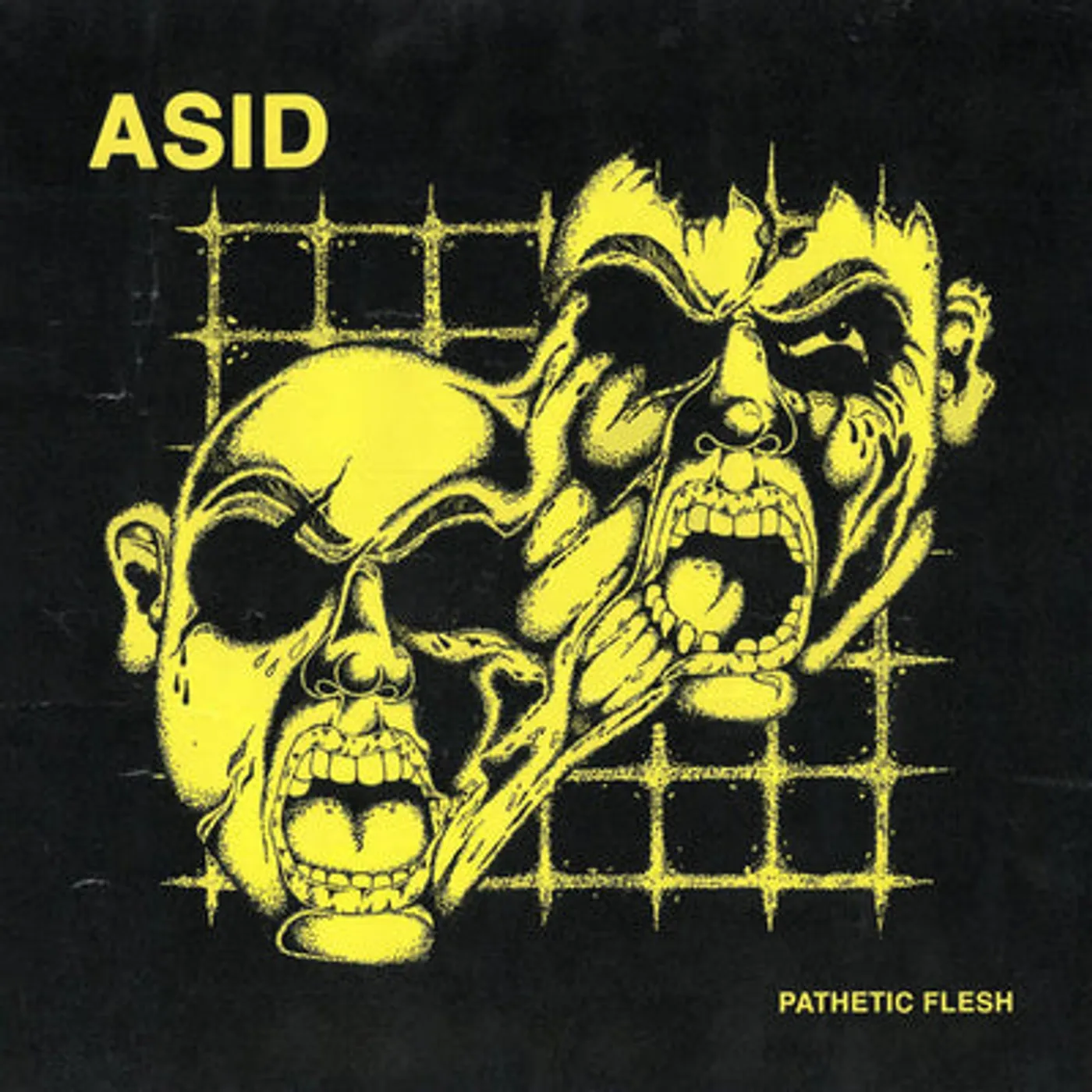 Asid LP - Pathetic Flesh: (Vinyl)