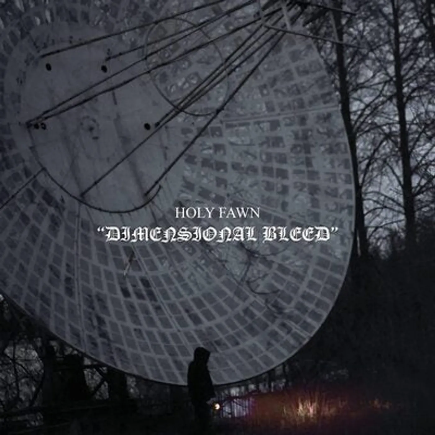 Holy Fawn LP - Dimensional Bleed (Vinyl)