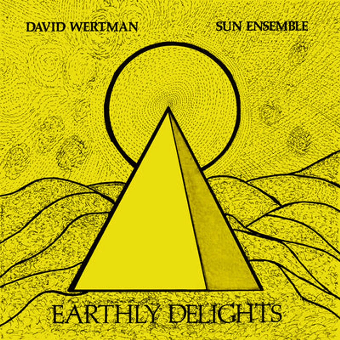 David Wertman & Sun Ensemble LP - Earthly Delights: (Vinyl)
