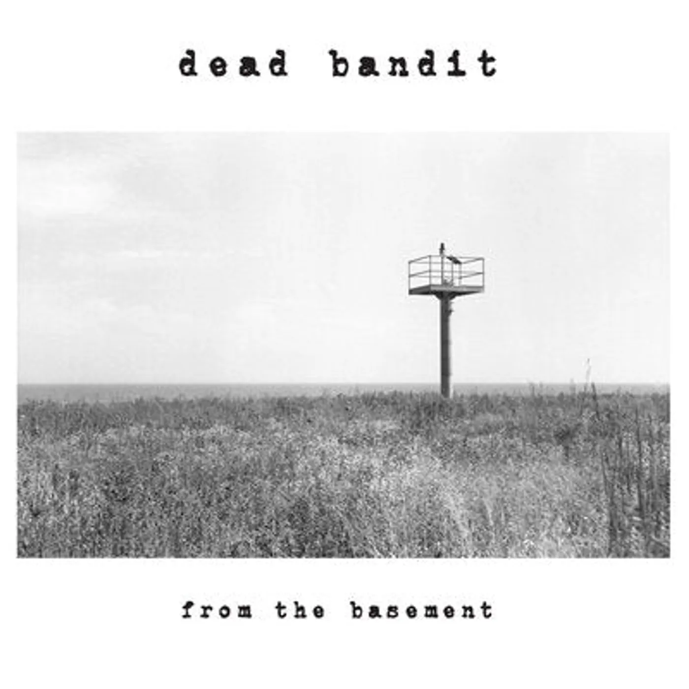 Dead Bandit LP - From the Basement: (Vinyl)