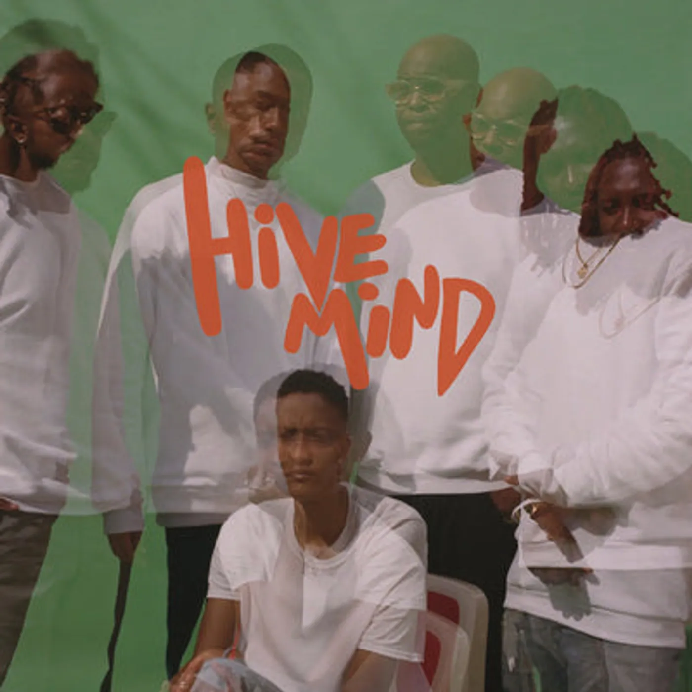 The Internet LP - Hive Mind (Vinyl)