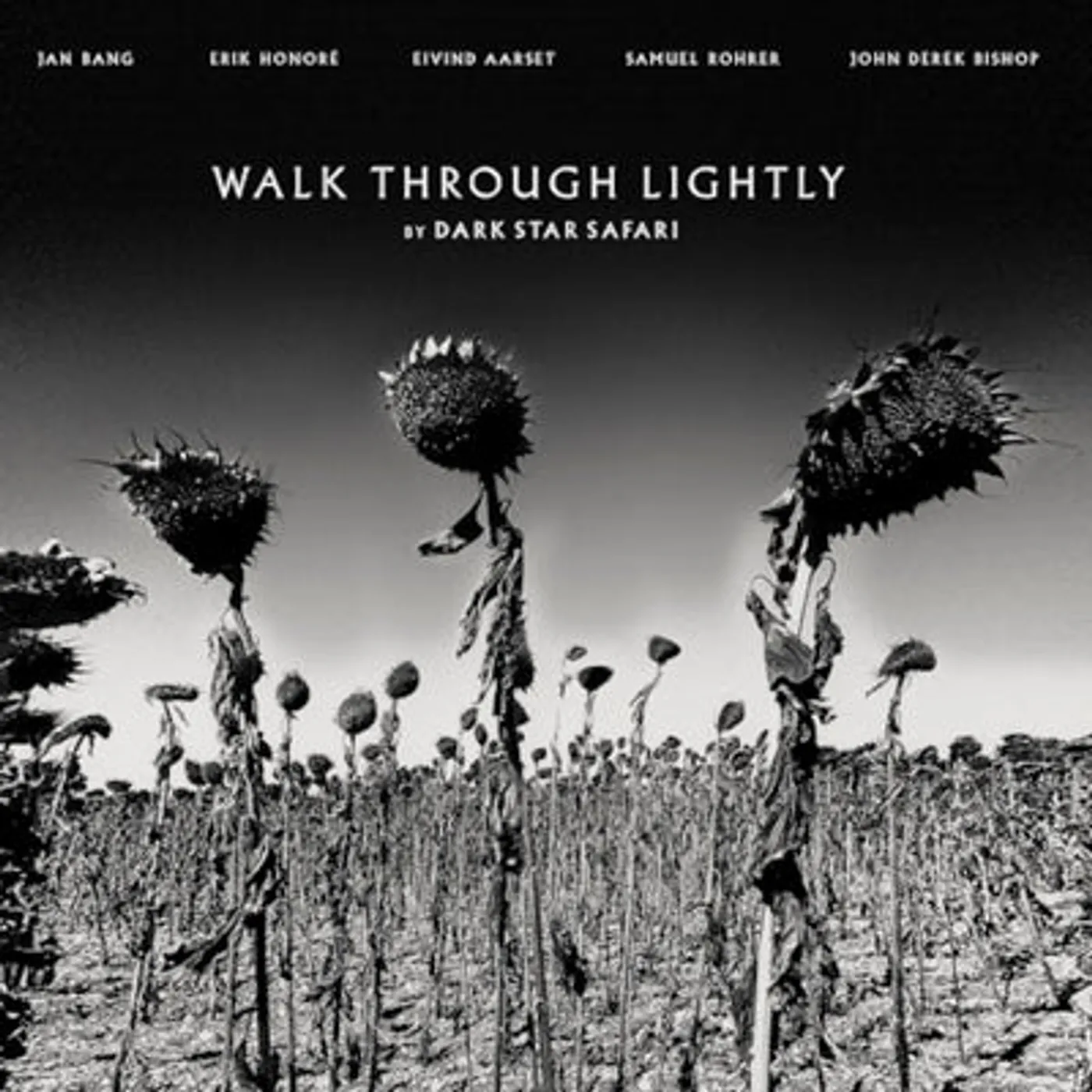 Dark Star Safari LP - Walk Through Lightly: (Vinyl)