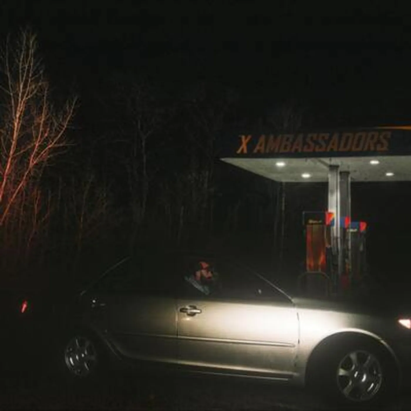 X Ambassadors LP - Townie (Vinyl)