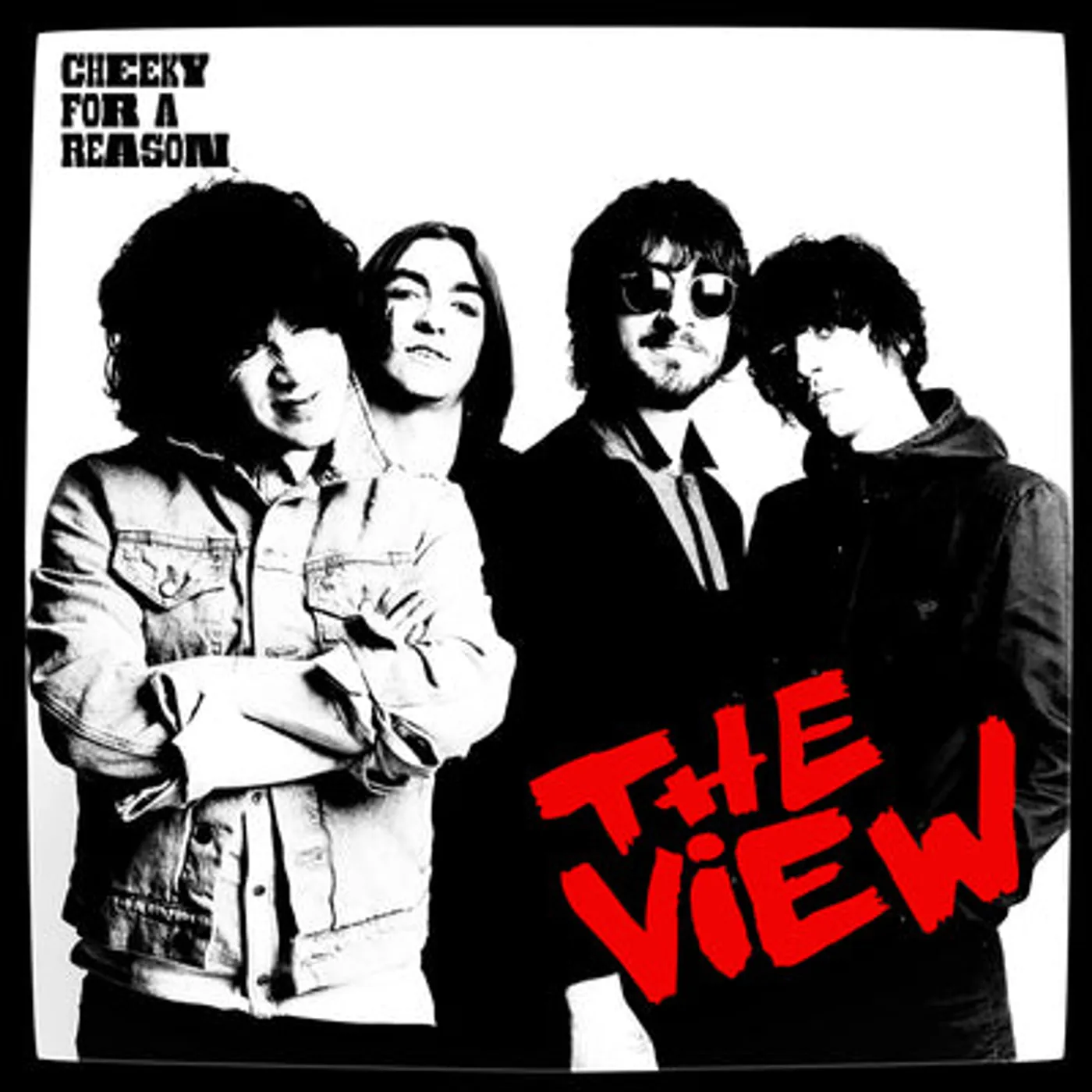The View LP - Cheeky for a Reason (National Album Day 2024) (Vinyl)