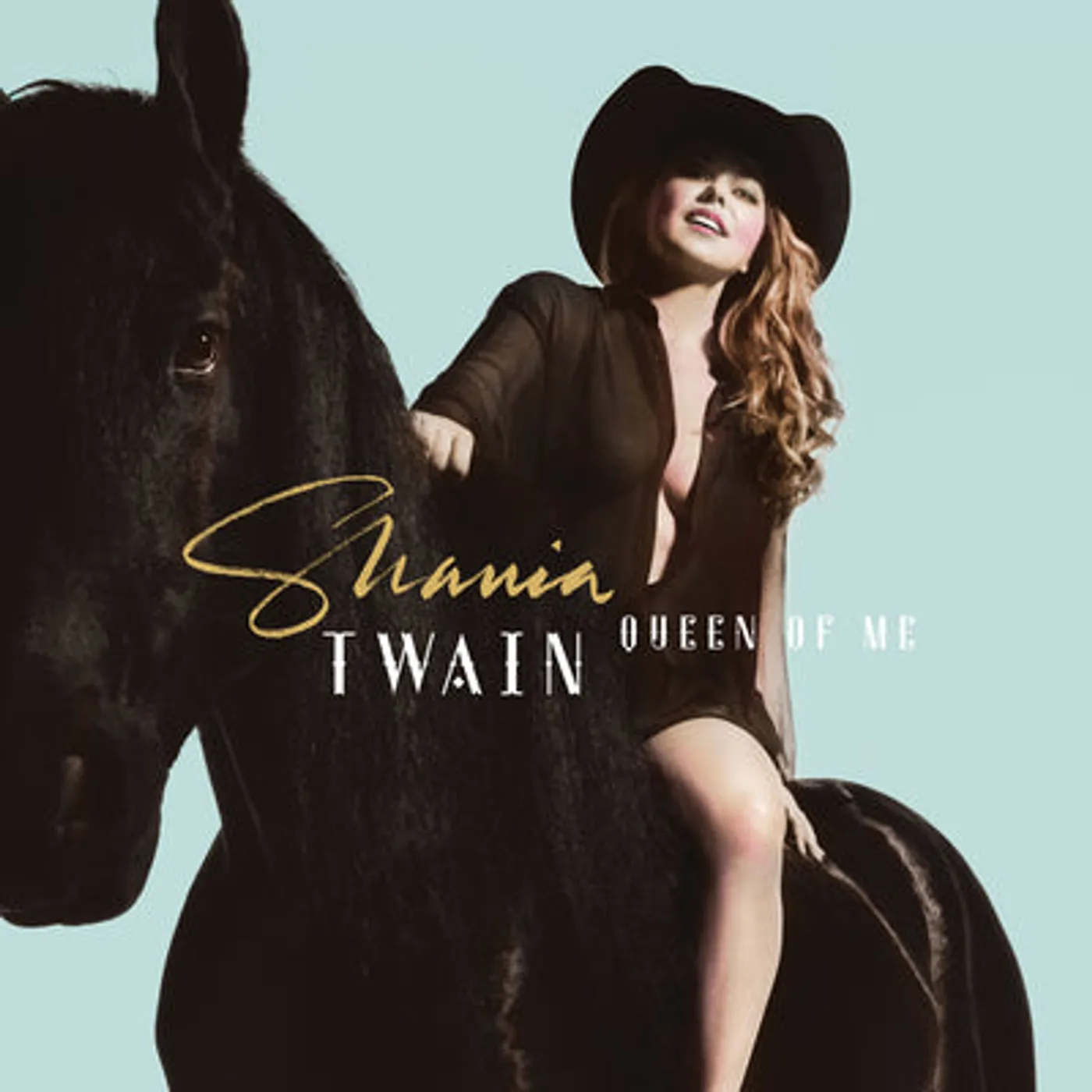 Shania Twain LP - Queen of Me (Vinyl)