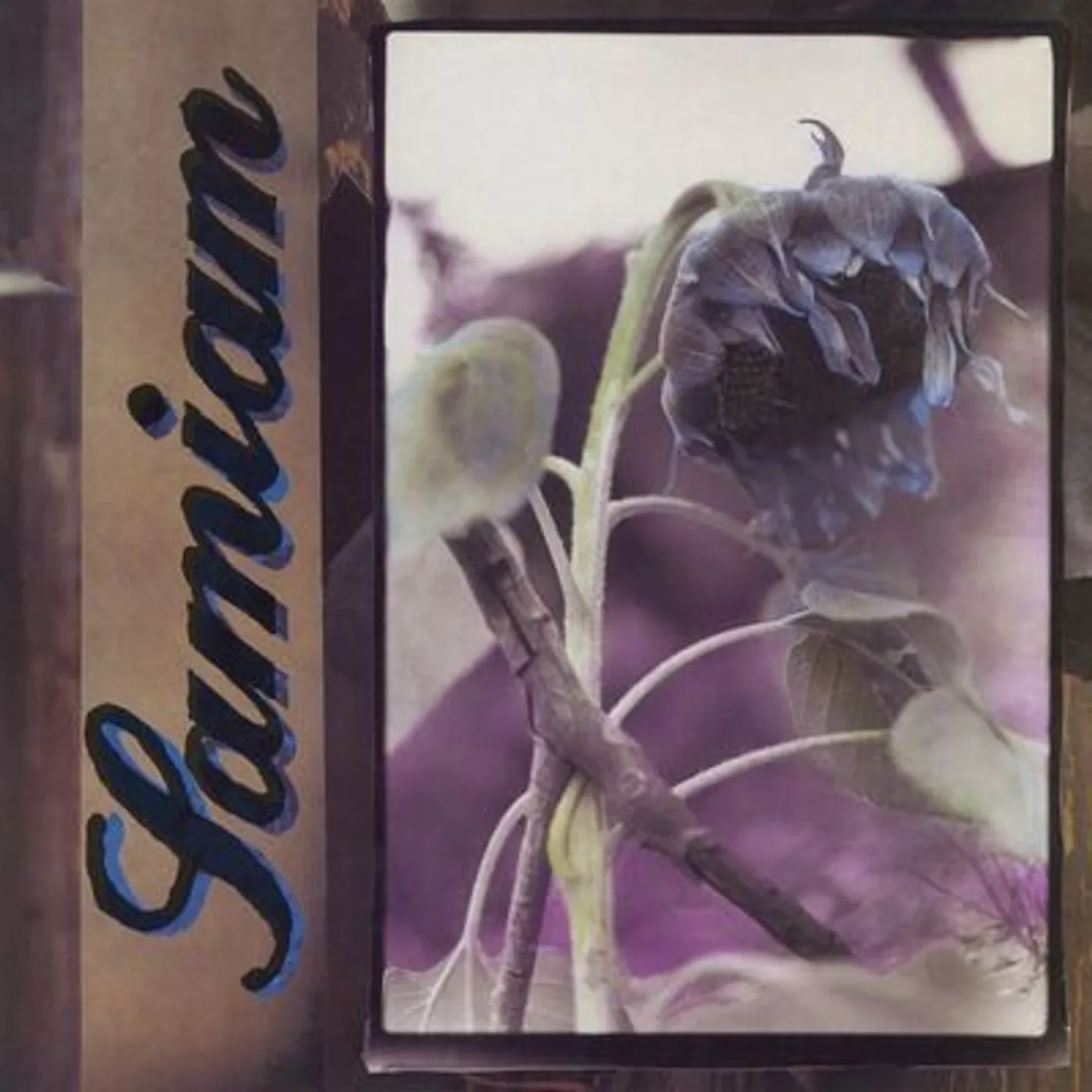 Samiam LP - Samiam (Vinyl)