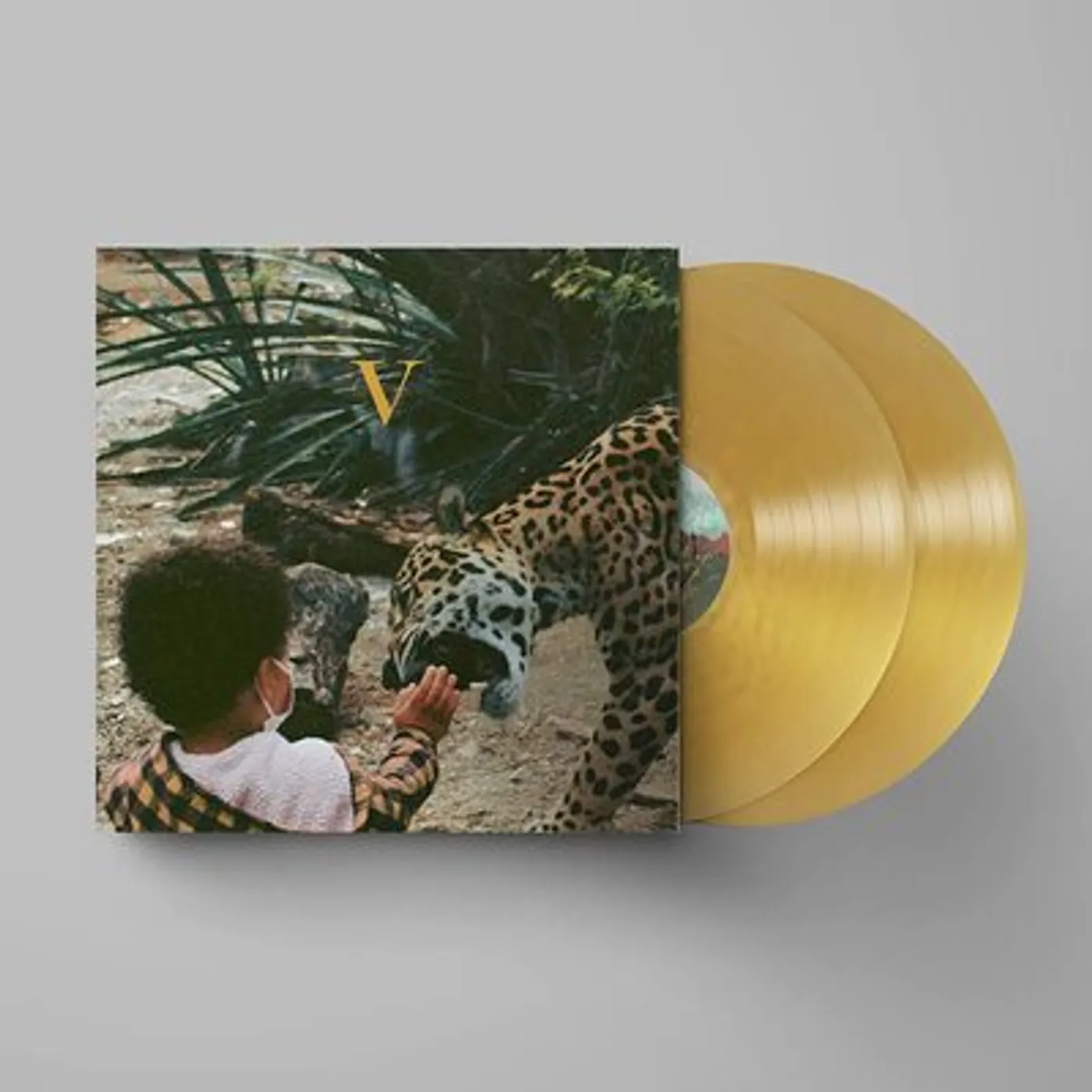 Unknown Mortal Orchestra LP - V (Vinyl)