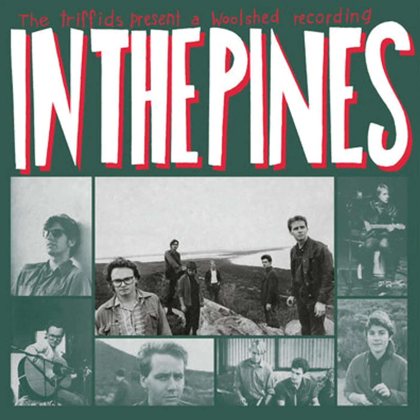 The Triffids LP - In the Pines (Vinyl)