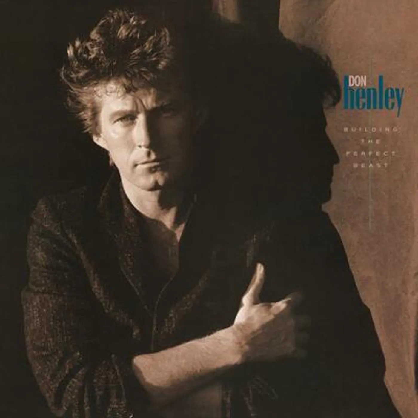 Don Henley LP - Building the Perfect Beast (Vinyl)