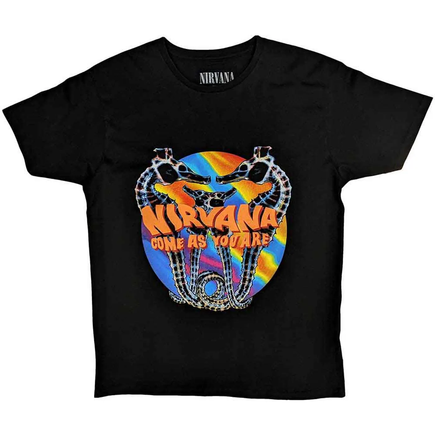 Nirvana T Shirt - Come As You Are