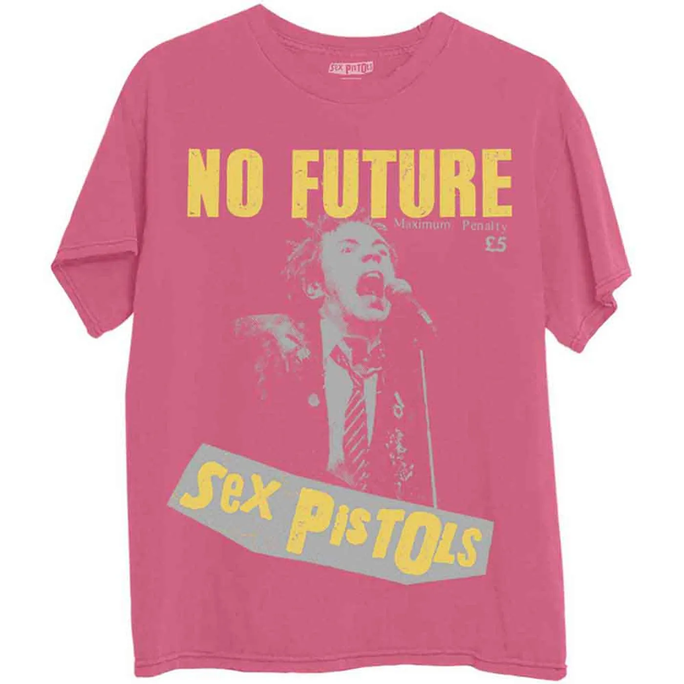 Sex Pistols T Shirt - No Future