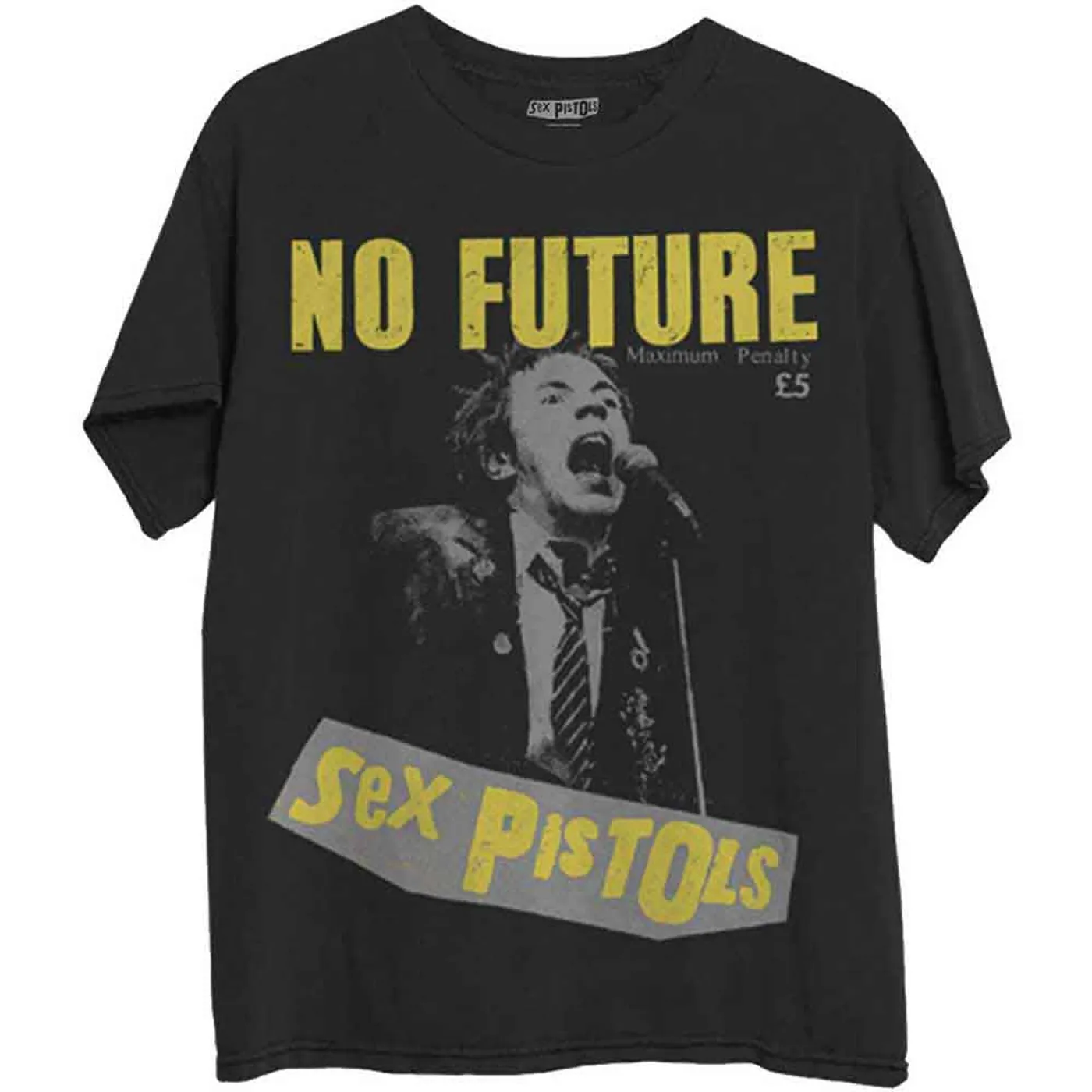 Sex Pistols T Shirt - No Future