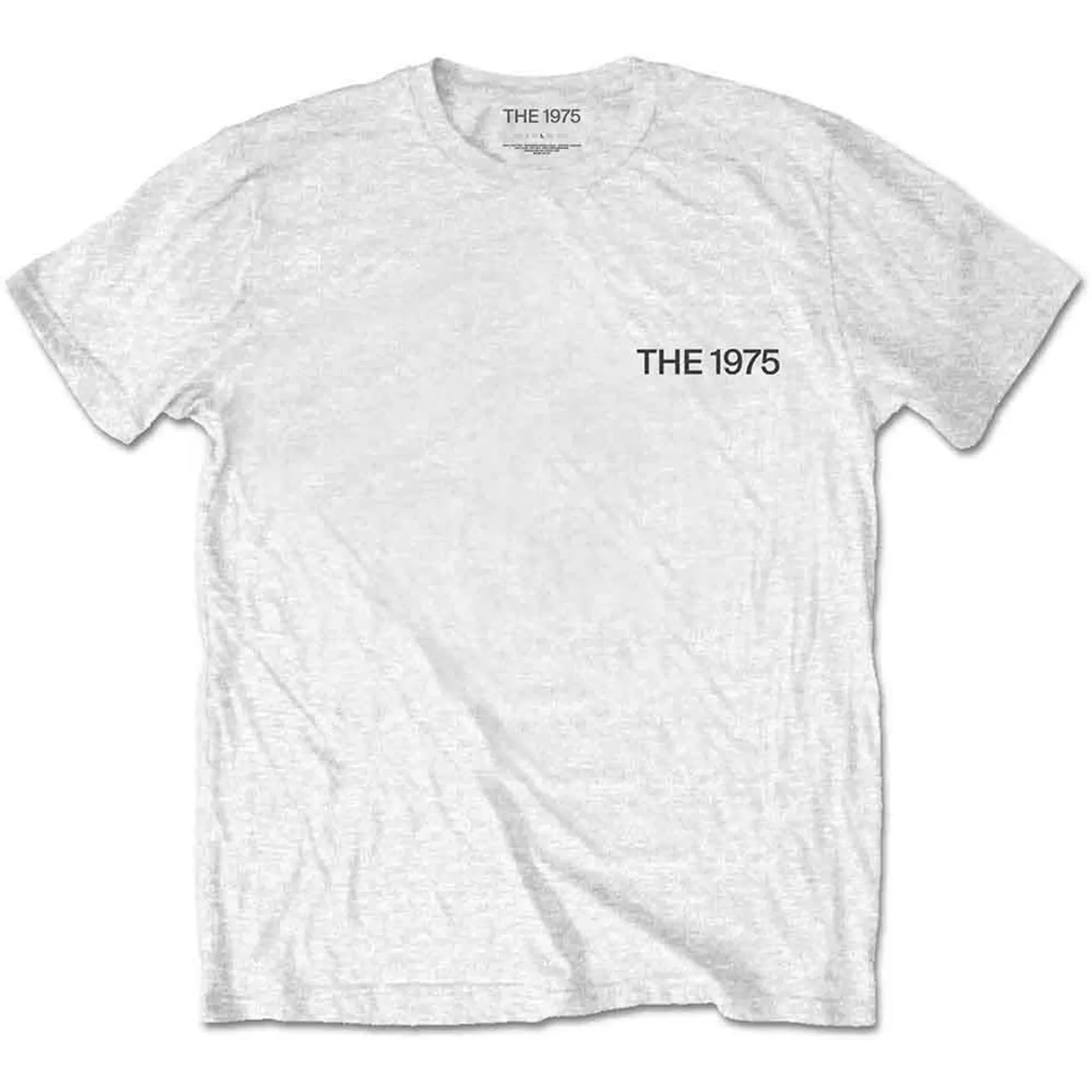 The 1975 T Shirt - ABIIOR Teddy