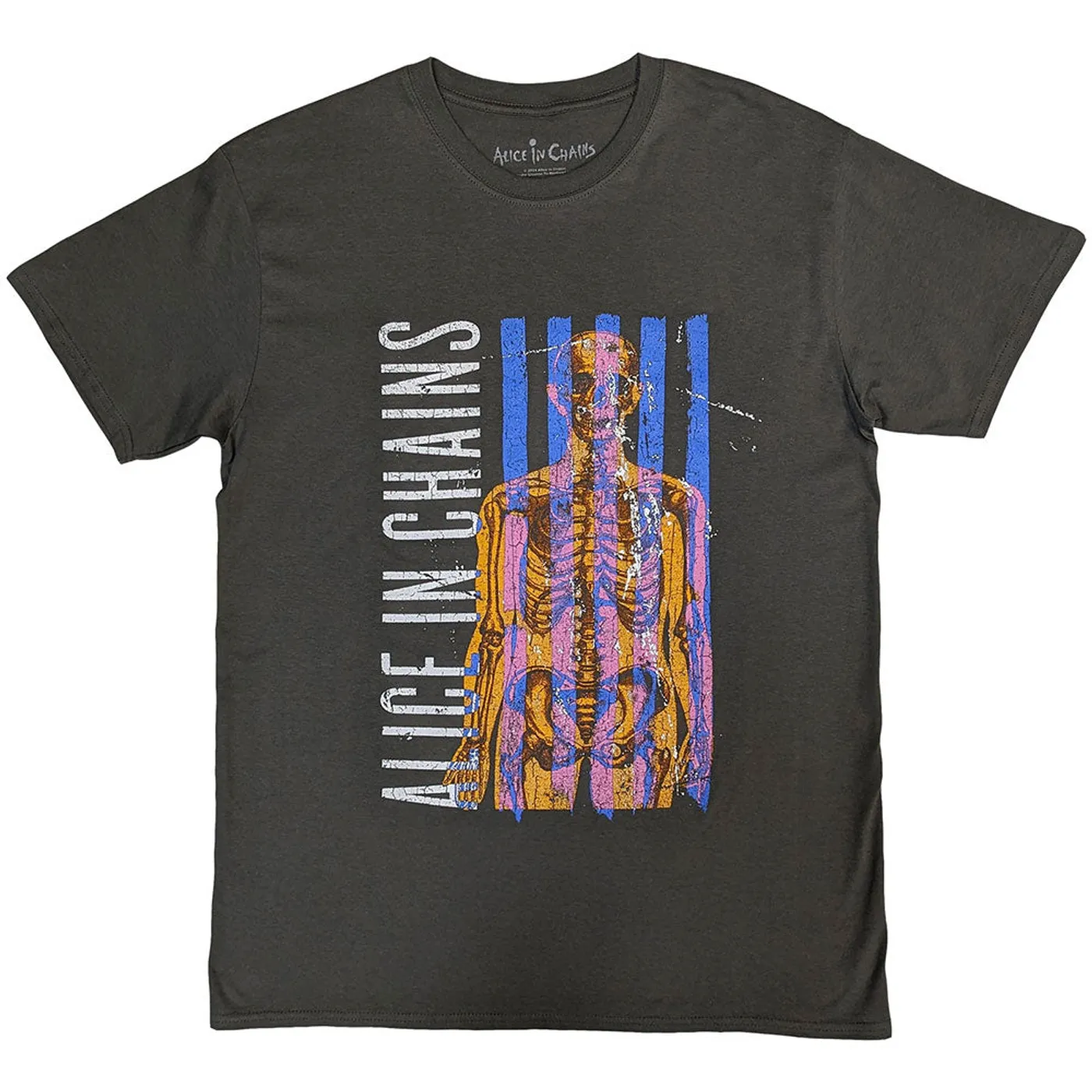 Alice In Chains T Shirt - Skeletal Stone Wash