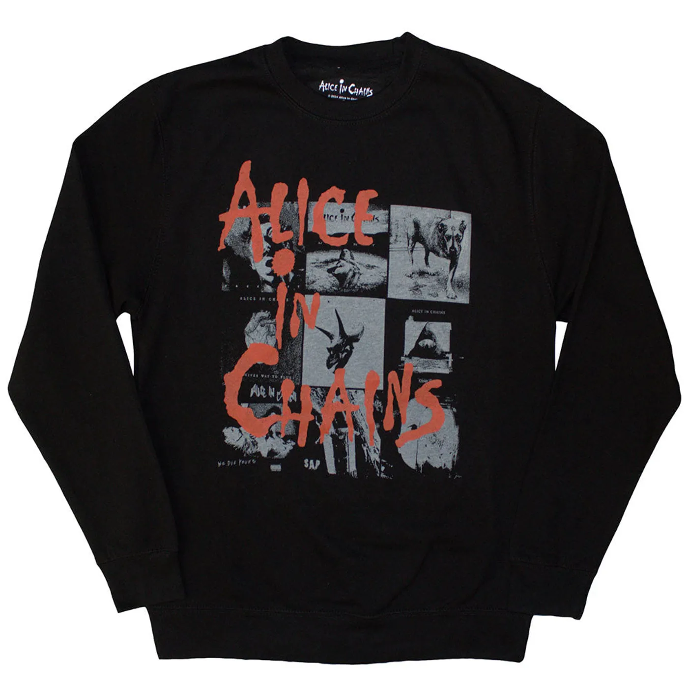 Alice In Chains Sweatshirt - Albums Montage