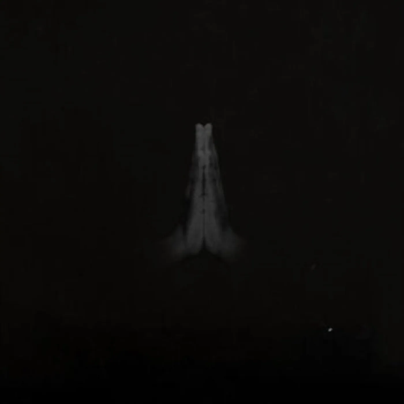 Sault LP Vinyl Record - Untitled (Rise)