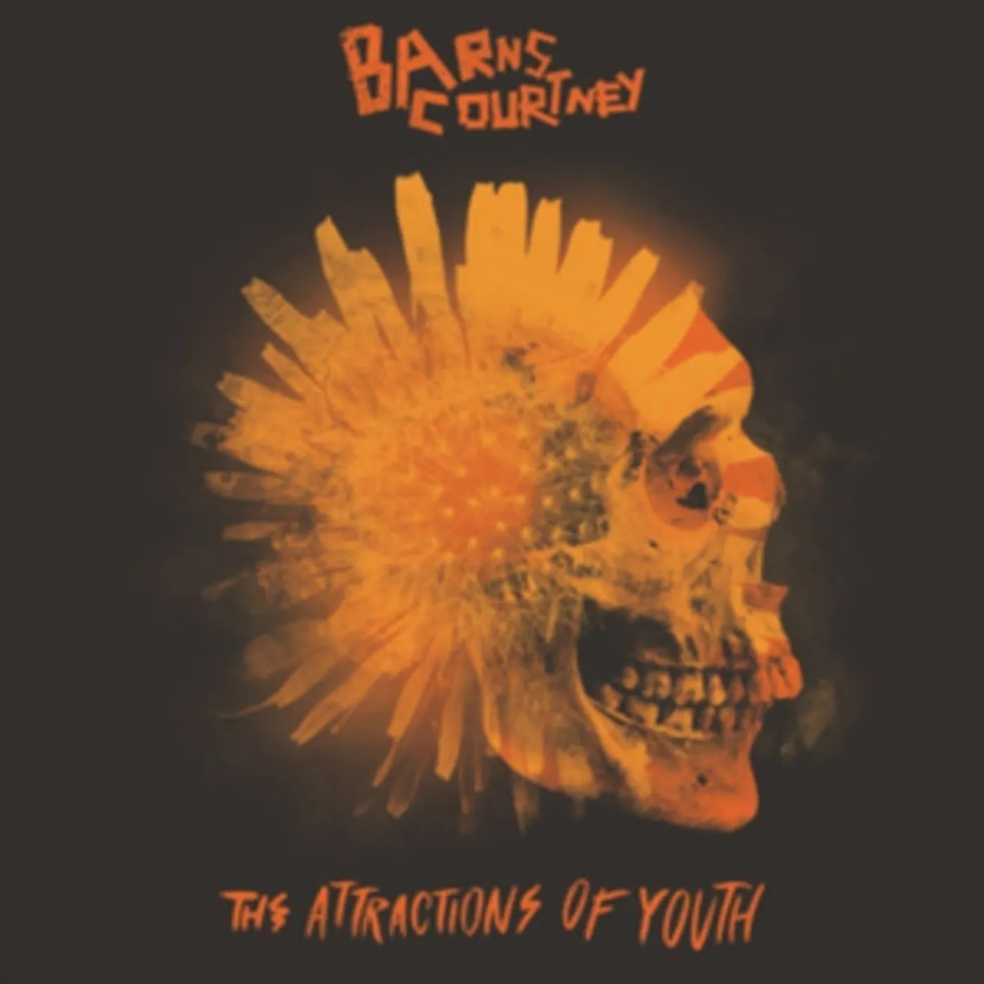 Barns Courtney CD - Attractions Of Youth