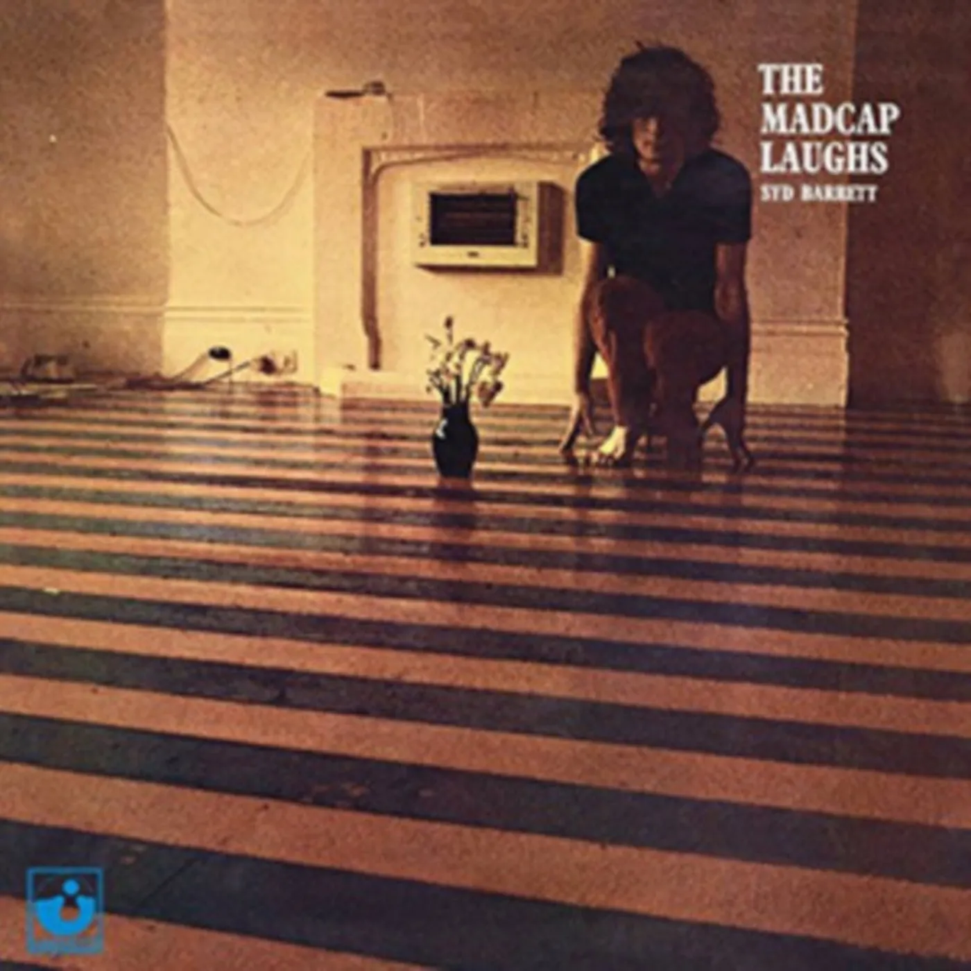 Syd Barrett LP Vinyl Record - The Madcap Laughs