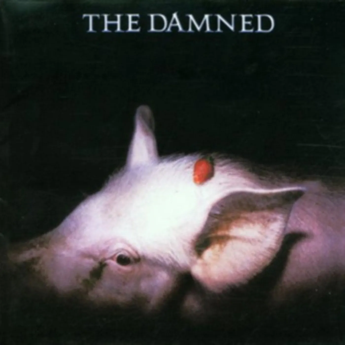 The Damned LP Vinyl Record - Strawberries