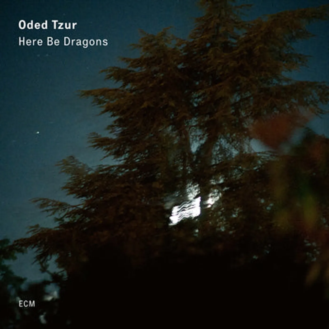 Oded Tzur LP - Here Be Dragons (Vinyl)